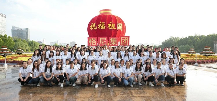 gnee company gnee company